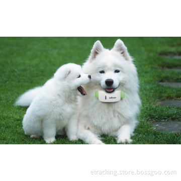 Tk Star Tk909 Pet & Personal GPS Tracker Can Insert to GPS Collar for Pets Dog Cat with Free Platform Tracking in Google Map